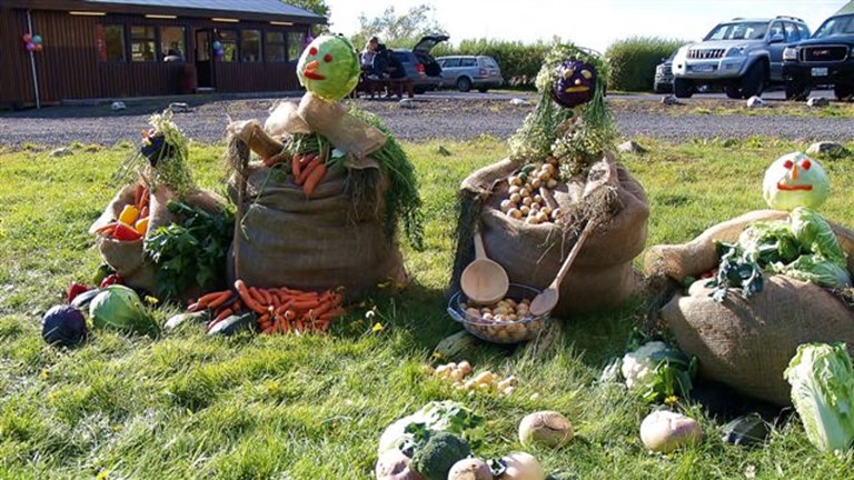 Dagskrá - "Uppskeruhátíð á Flúðum", laugardaginn 3. september 2022