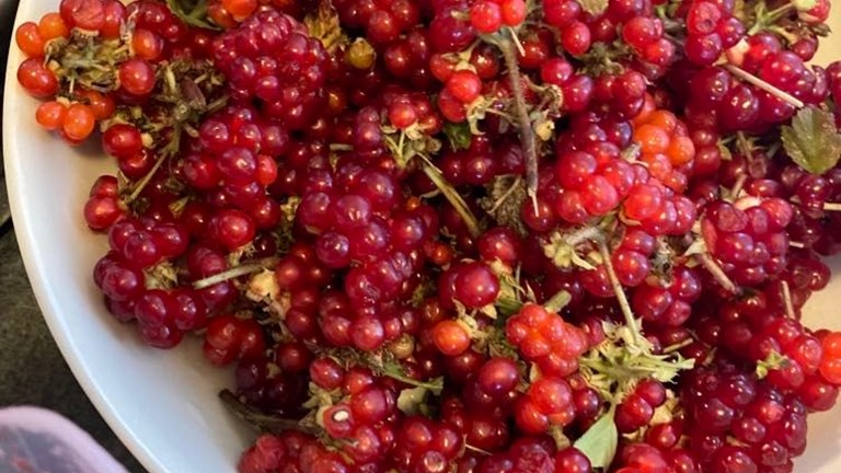 Uppskeruhátíð á Flúðum og nágrenni laugardaginn 2. september