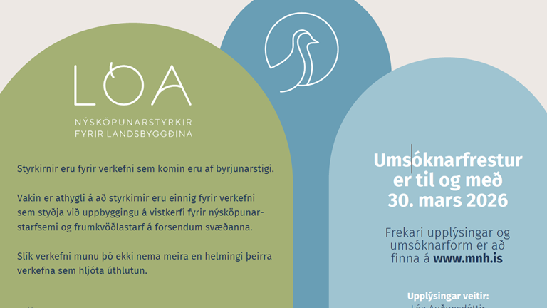 Lóan er komin - Opnað hefur verið fyrir umsóknir